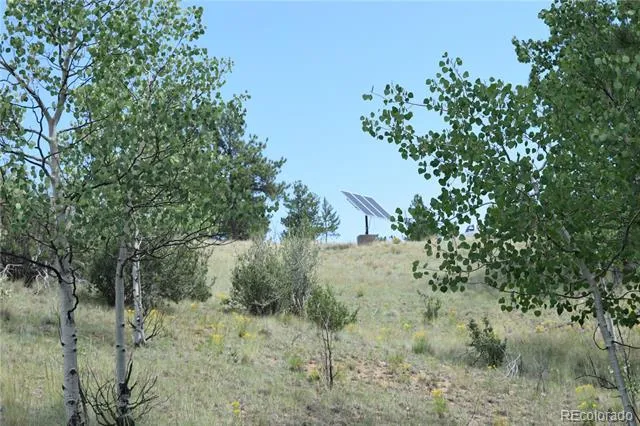 1651 Aspen Trail Hartsel, CO 80449