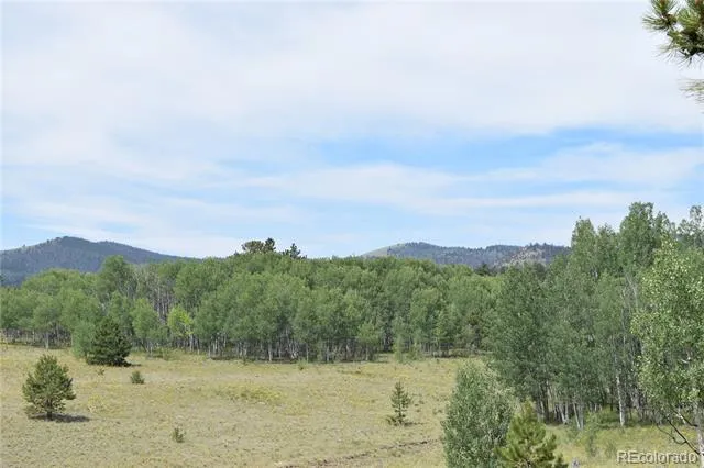 1651 Aspen Trail Hartsel, CO 80449