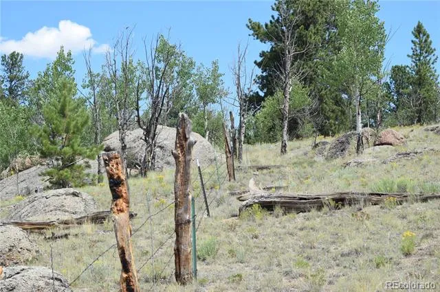 1651 Aspen Trail Hartsel, CO 80449