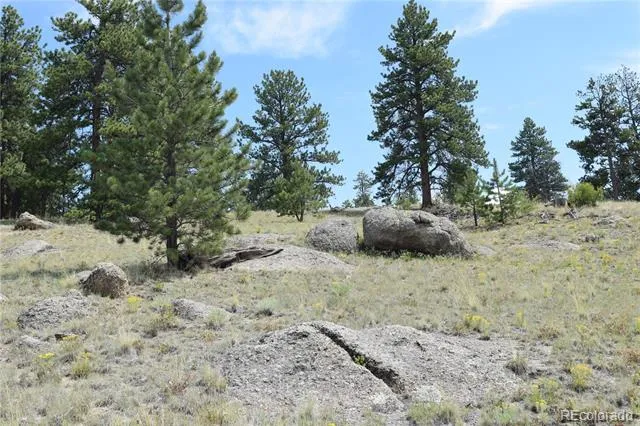 1651 Aspen Trail Hartsel, CO 80449