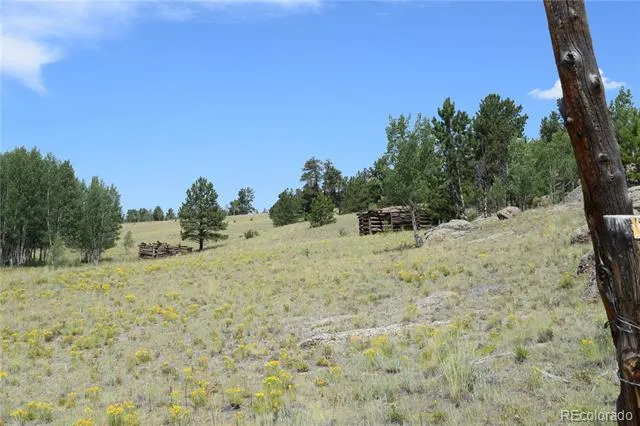 1651 Aspen Trail Hartsel, CO 80449