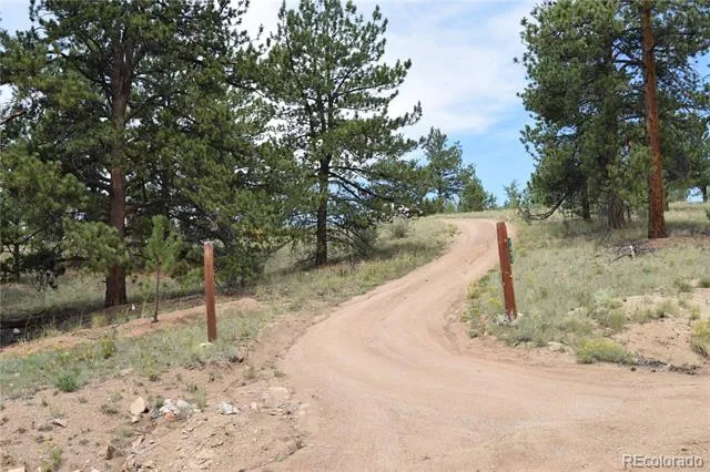 1651 Aspen Trail Hartsel, CO 80449