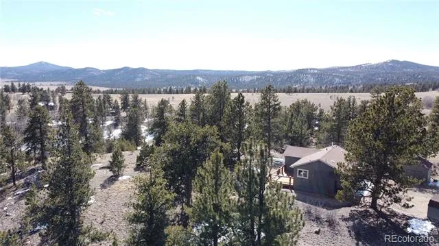 1651 Aspen Trail Hartsel, CO 80449
