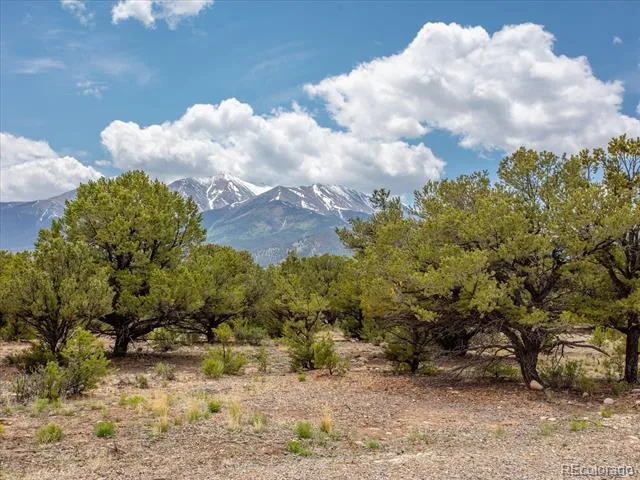 29269 Timber Ridge Buena Vista, CO 81211