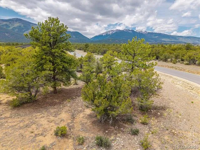 29269 Timber Ridge Buena Vista, CO 81211