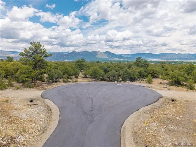 29269 Timber Ridge Buena Vista, CO 81211
