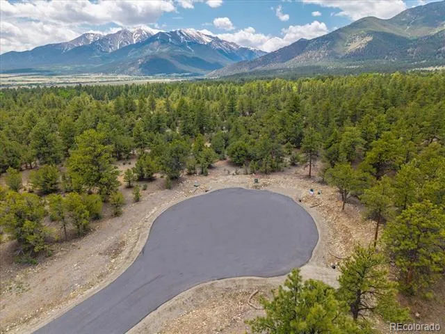 29269 Timber Ridge Buena Vista, CO 81211