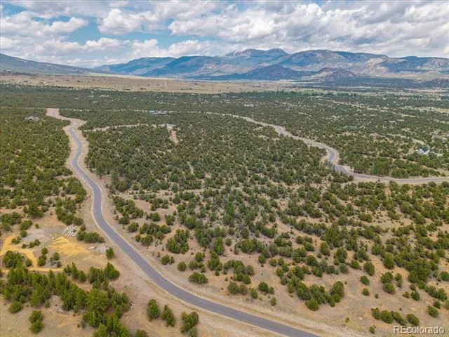 29269 Timber Ridge Buena Vista, CO 81211