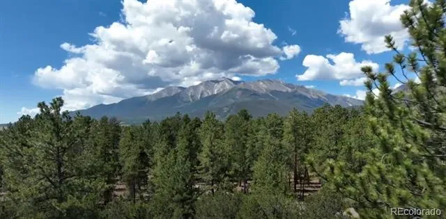 29269 Timber Ridge Buena Vista, CO 81211