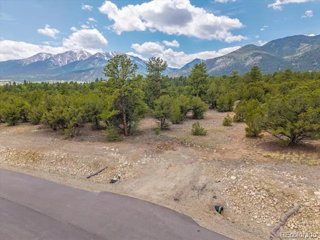 29269 Timber Ridge Buena Vista, CO 81211
