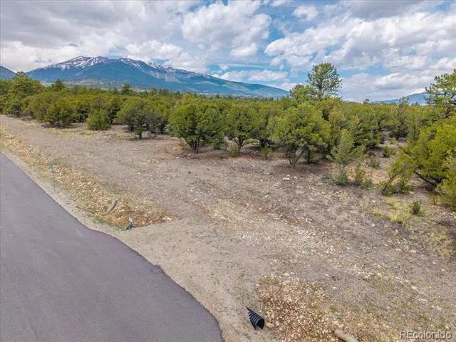 29269 Timber Ridge Buena Vista, CO 81211