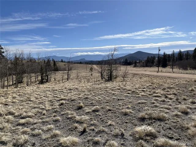 325 Shoshone Drive Como, CO 80456