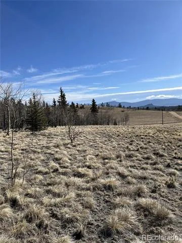 325 Shoshone Drive Como, CO 80456