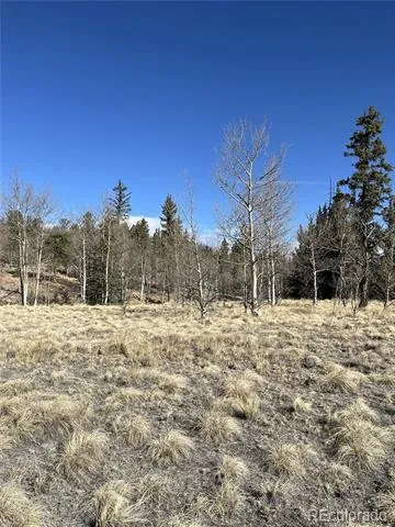 325 Shoshone Drive Como, CO 80456