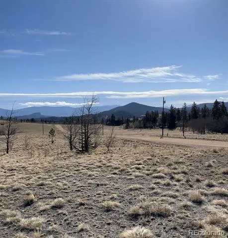 325 Shoshone Drive Como, CO 80456