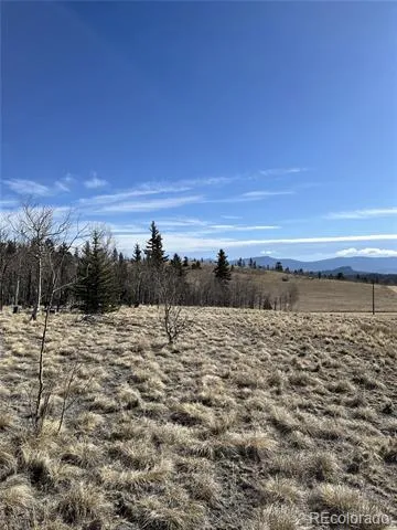 325 Shoshone Drive Como, CO 80456