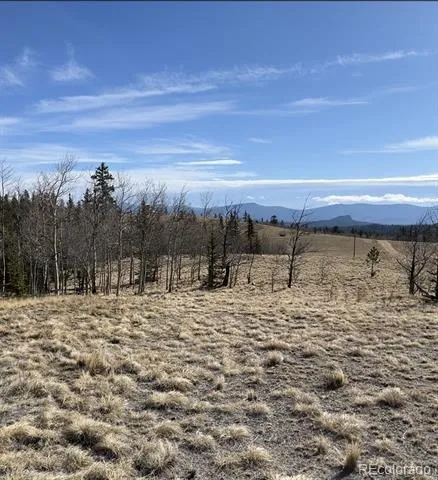 325 Shoshone Drive Como, CO 80456