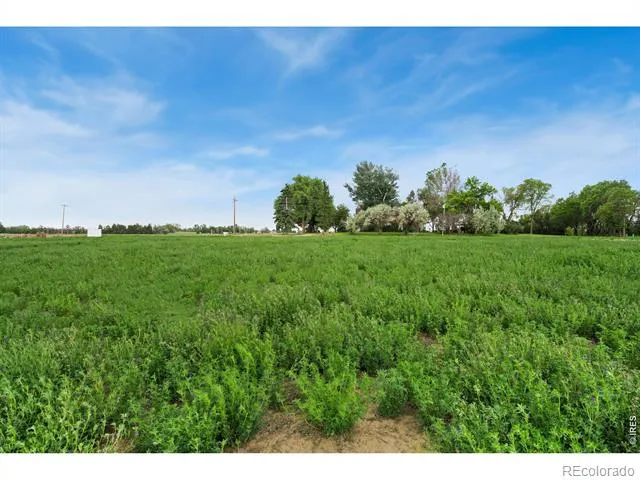 1534 Hauck Meadows Drive Longmont, CO 80504