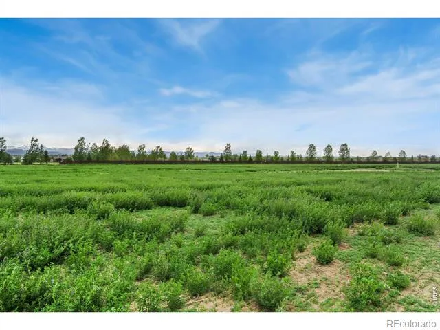 1534 Hauck Meadows Drive Longmont, CO 80504