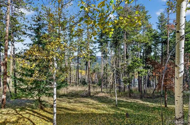 20341 Maxwell Drive Morrison, CO 80465