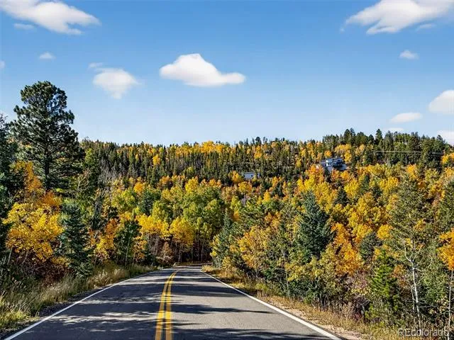 20341 Maxwell Drive Morrison, CO 80465