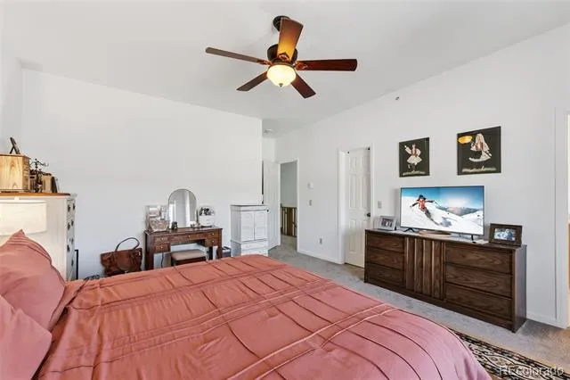 387 8th Street Fairplay, CO 80440