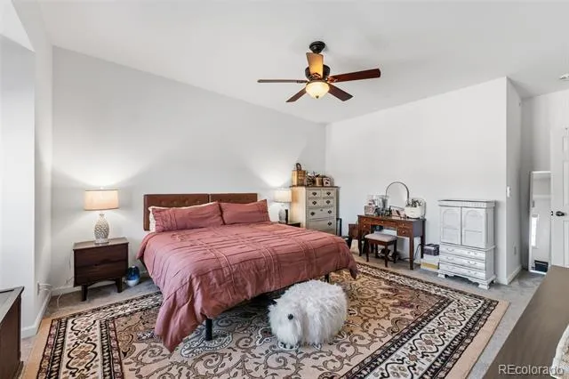 387 8th Street Fairplay, CO 80440