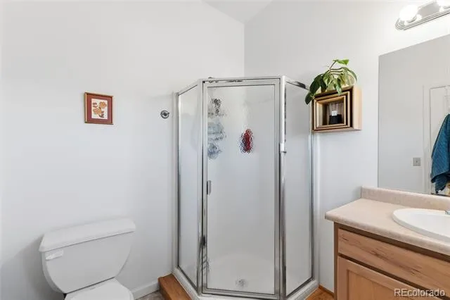 387 8th Street Fairplay, CO 80440
