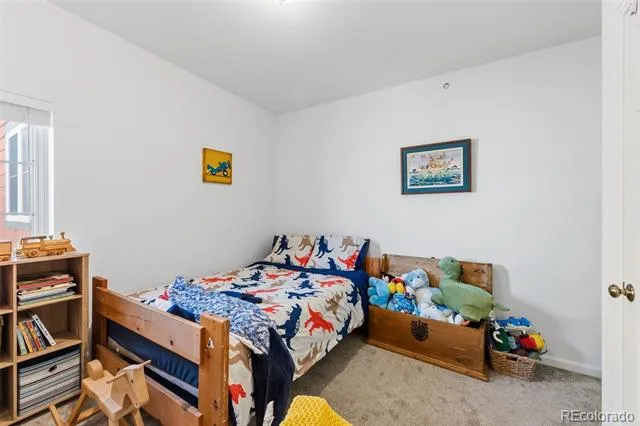 387 8th Street Fairplay, CO 80440