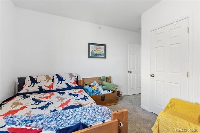 387 8th Street Fairplay, CO 80440