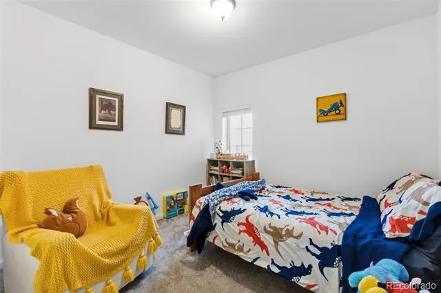 387 8th Street Fairplay, CO 80440