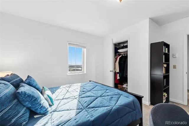 387 8th Street Fairplay, CO 80440