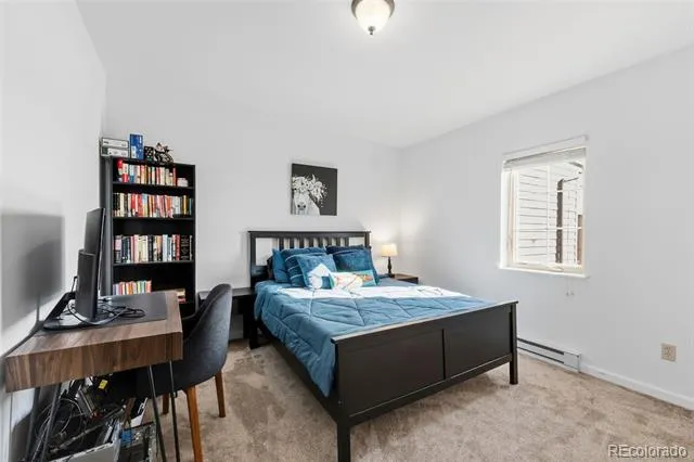 387 8th Street Fairplay, CO 80440