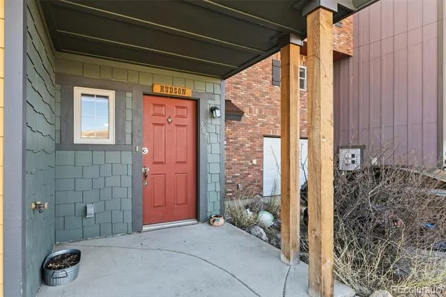 387 8th Street Fairplay, CO 80440