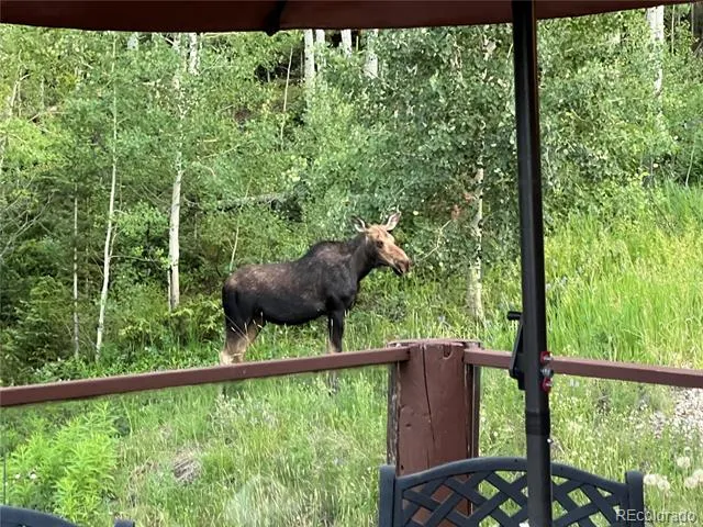 1361 Cr-8 Fraser, CO 80442