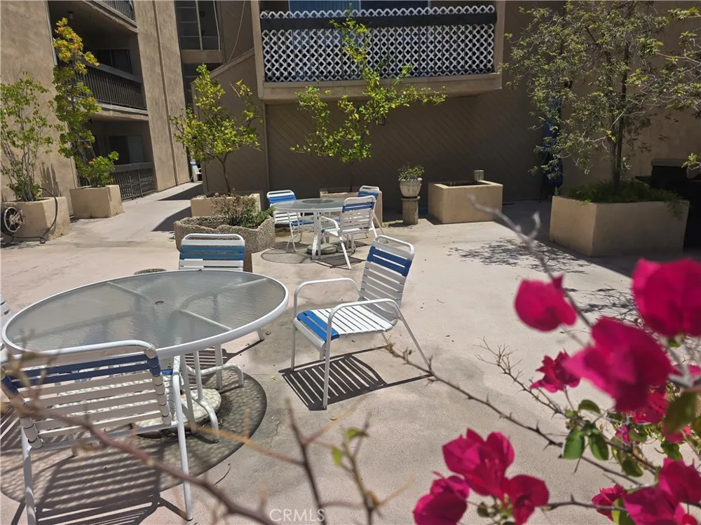 335 Adams #106 Glendale, CA 91206