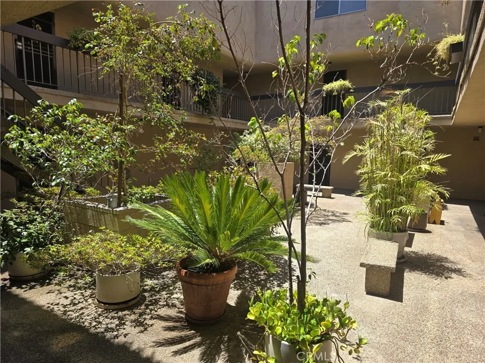 335 Adams #106 Glendale, CA 91206
