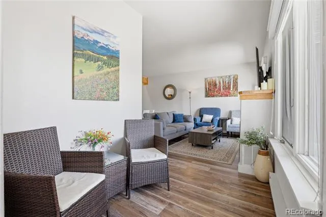 623 Cedar Lane #D102 Buena Vista, CO 81211