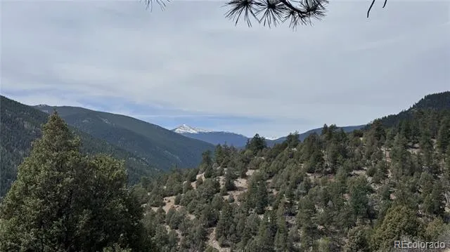 257 Wildlife Trail Idaho Springs, CO 80452