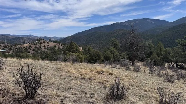 257 Wildlife Trail Idaho Springs, CO 80452