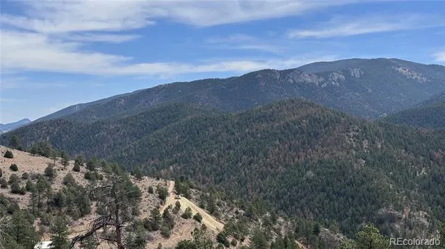 257 Wildlife Trail Idaho Springs, CO 80452