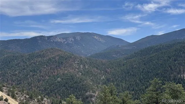 257 Wildlife Trail Idaho Springs, CO 80452