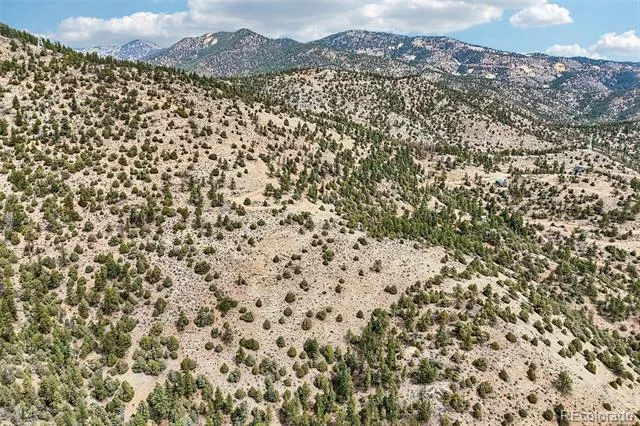 257 Wildlife Trail Idaho Springs, CO 80452