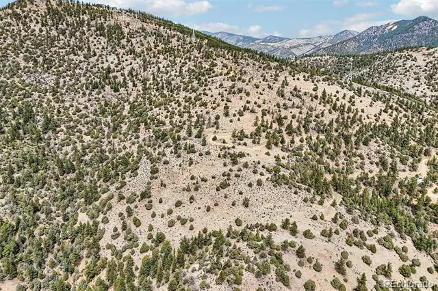 257 Wildlife Trail Idaho Springs, CO 80452