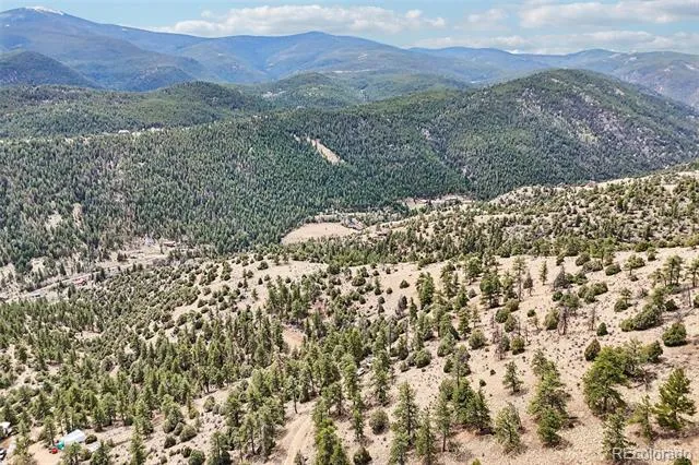 257 Wildlife Trail Idaho Springs, CO 80452