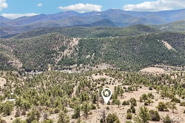 257 Wildlife Trail Idaho Springs, CO 80452