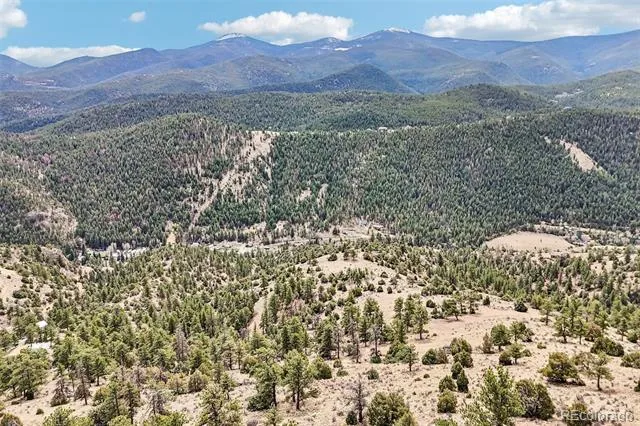257 Wildlife Trail Idaho Springs, CO 80452