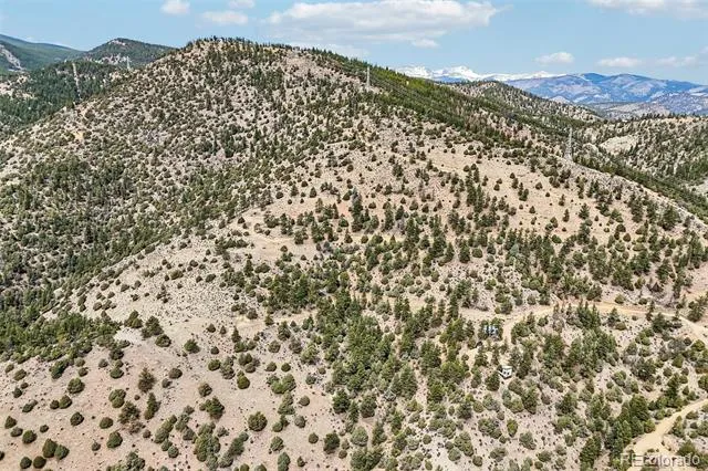 257 Wildlife Trail Idaho Springs, CO 80452