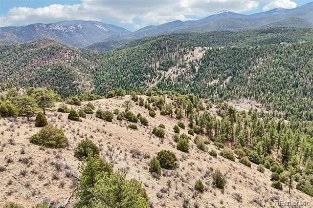 257 Wildlife Trail Idaho Springs, CO 80452