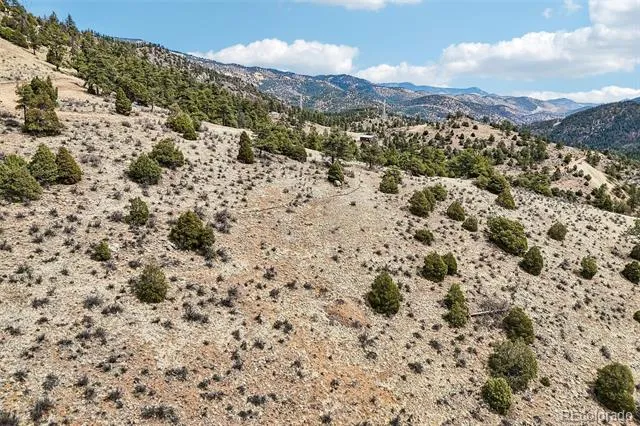 257 Wildlife Trail Idaho Springs, CO 80452